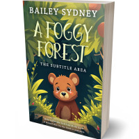 3D view of Premade Nature Book Cover - Outer Space