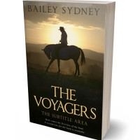 3D view of Premade Action & Adventure Book Cover - Brandy