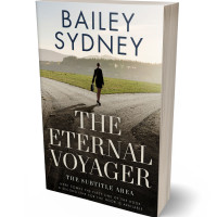 Tablet view of Foggy Gray #33526 - Premade Travel Book Cover