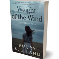 3D view of Slate Gray #33562 - Premade Nature Book Cover