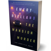 3D view of Premade Mystery & Thriller & Suspense Book Cover - Mirage