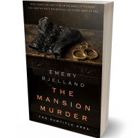 3D view of Premade Erotica Book Cover - Night Rider