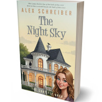 3D view of Premade Fantasy Book Cover - Tana