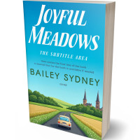 3D view of Premade Action & Adventure Book Cover - Scooter