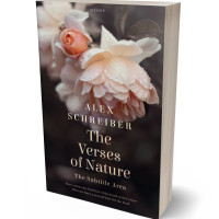 Tablet view of Coral Reef #335848 - Premade Romance Book Cover