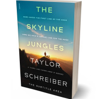 3D view of Premade Self-Improvement & Self-Help Book Cover - Firefly