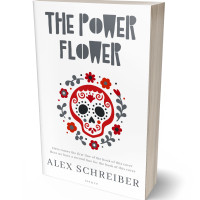 Tablet view of Abbey #335969 - Premade Surreal Book Cover