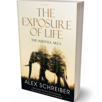 3D view of Premade Nature Book Cover - Log Cabin