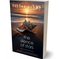 3D view of Premade Nature Book Cover - Thunder