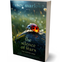 3D view of Aztec #33725 - Premade Surreal Book Cover