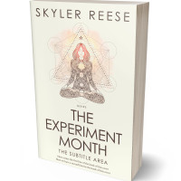 3D view of Premade Health & Mind & Body Book Cover - Frost