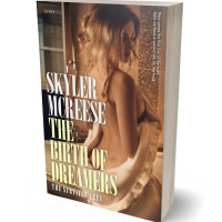 3D view of Premade Erotica Book Cover - Spicy Mix