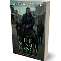 3D view of Premade Western Book Cover - Heavy Metal