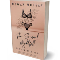 3D view of Premade Erotica Book Cover - Tan