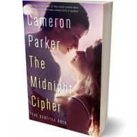 3D view of Premade Romance Book Cover - Livid Brown