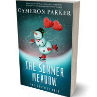 3D view of Premade Literary Fiction Book Cover - Blue Dianne