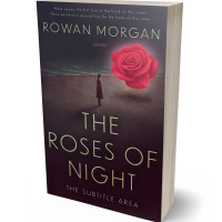 3D view of Premade Literary Fiction Book Cover - Thunder