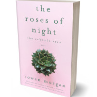 3D view of Premade Poetry Book Cover - Carousel Pink