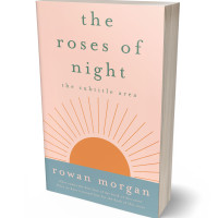 Tablet view of Cinderella #34398 - Premade Poetry Book Cover