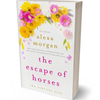 Tablet view of Ebb #34402 - Premade Poetry Book Cover