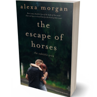 3D view of Aztec #34406 - Premade Romance Book Cover