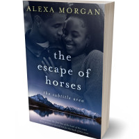 3D view of Premade Romance Book Cover - Big Stone