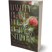 3D view of Premade Literary Fiction Book Cover - Mondo