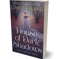 3D view of Premade Fantasy Book Cover - Ship Gray