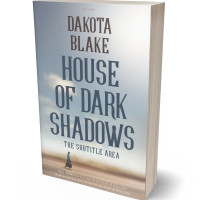 3D view of Premade Mystery & Thriller & Suspense Book Cover - Silver Sand