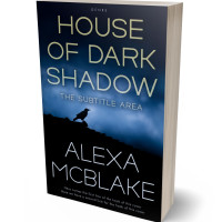 3D view of Premade Mystery & Thriller & Suspense Book Cover - Ship Cove