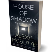 3D view of Premade Mystery & Thriller & Suspense Book Cover - Bunker