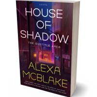 3D view of Premade Mystery & Thriller & Suspense Book Cover - Tamarind