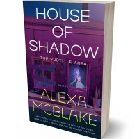 3D view of Bossanova #34547 - Premade Mystery & Thriller & Suspense Book Cover