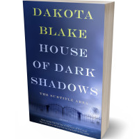 3D view of Premade Mystery & Thriller & Suspense Book Cover - San Juan