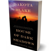 3D view of Premade Romance Book Cover - Gondola