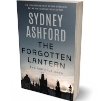 3D view of Premade Historical Book Cover - Limed Spruce