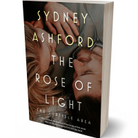 3D view of Premade Romance Book Cover - Bistre