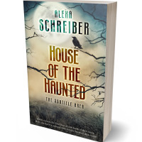 3D view of Premade Horror Book Cover - Akaroa