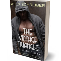 3D view of Premade Erotica Book Cover - Dune