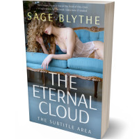 3D view of Premade Erotica Book Cover - Pale Sky
