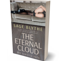 3D view of Premade Erotica Book Cover - Flint