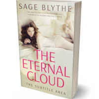 3D view of Premade Erotica Book Cover - Tana