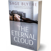 3D view of Premade Erotica Book Cover - Manatee