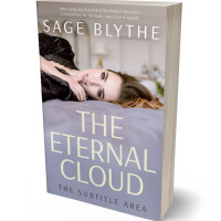 3D view of Premade Erotica Book Cover - Santas Gray