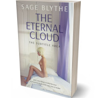 3D view of Premade Erotica Book Cover - Cotton Seed