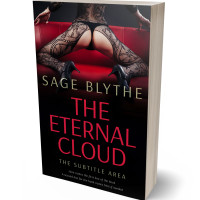 3D view of Premade Erotica Book Cover - Chestnut