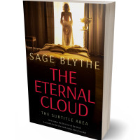 3D view of Premade Erotica Book Cover - Burning Sand