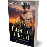 3D view of Premade Teen & Young Adult Book Cover - Whiskey