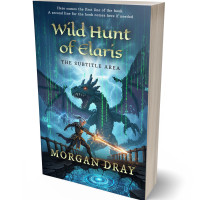 3D view of Premade LitRPG Book Cover - San Juan