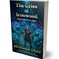 3D view of Premade LitRPG Book Cover - Firefly